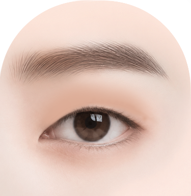 눈꺼풀 지방량