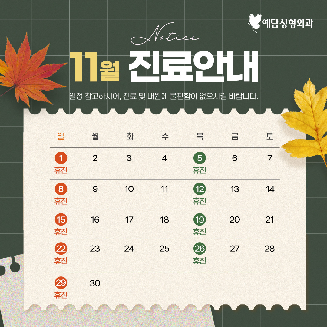 11월 진료안내